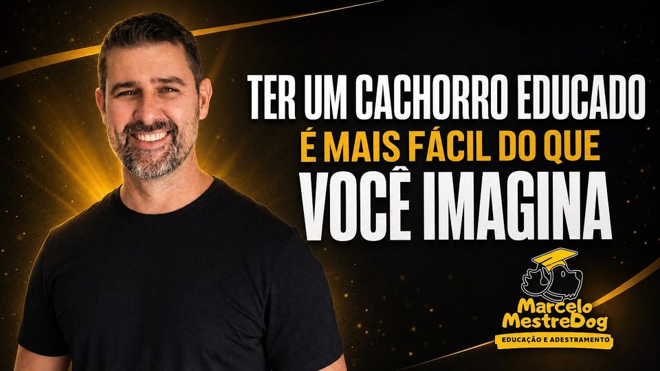 Apresentação do programa Meu Filhote Educado