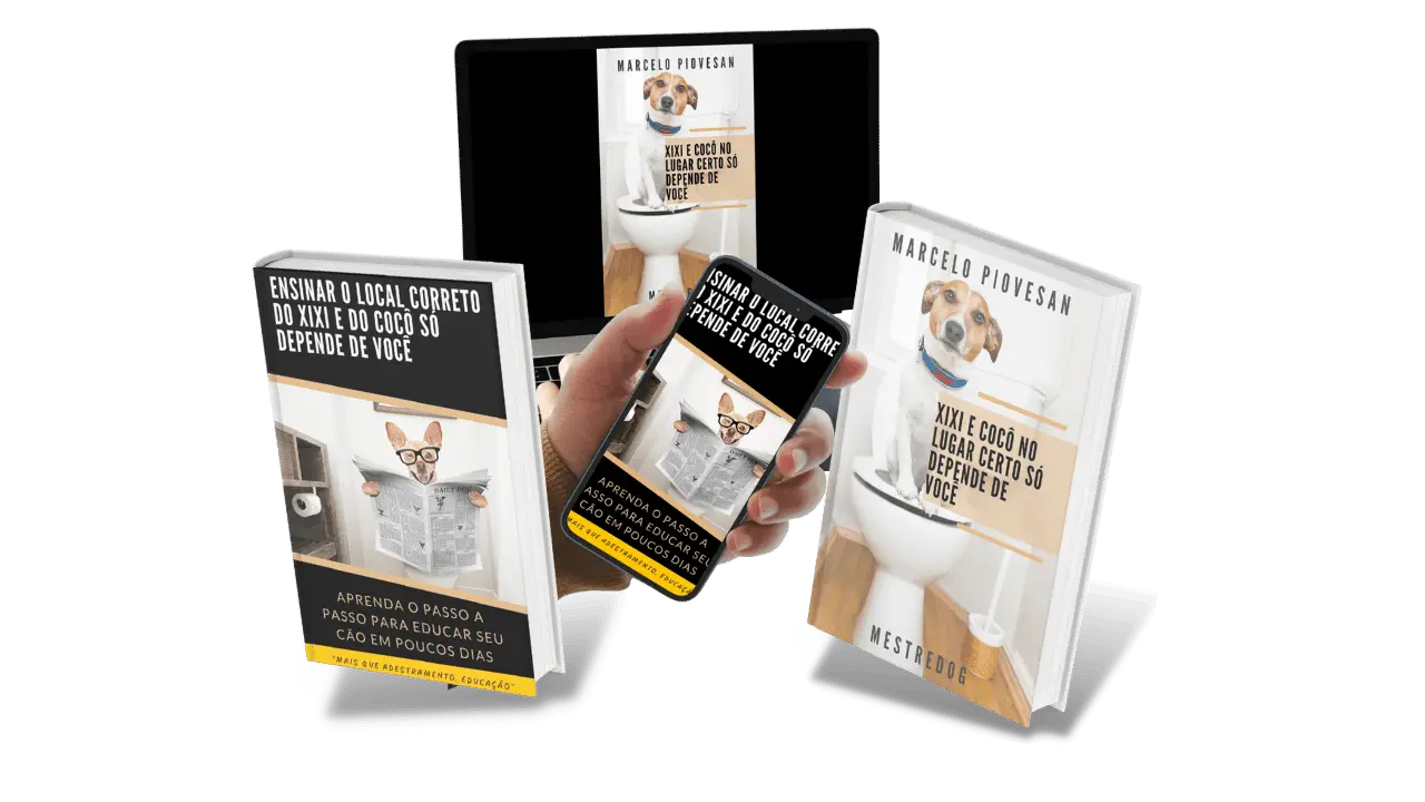 COMO ENSINAR O CACHORRO A FAZER XIXI
